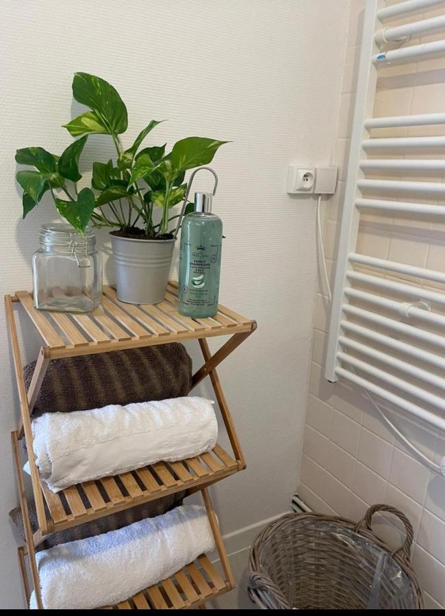 Maison Cosy Paris Orly Jardin Privee Витри-сюр-Сен Экстерьер фото